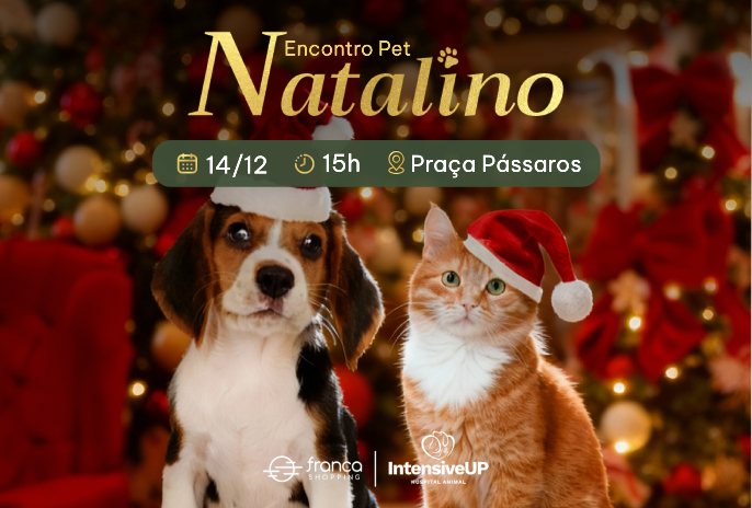 Novo Projeto _1_.jpg